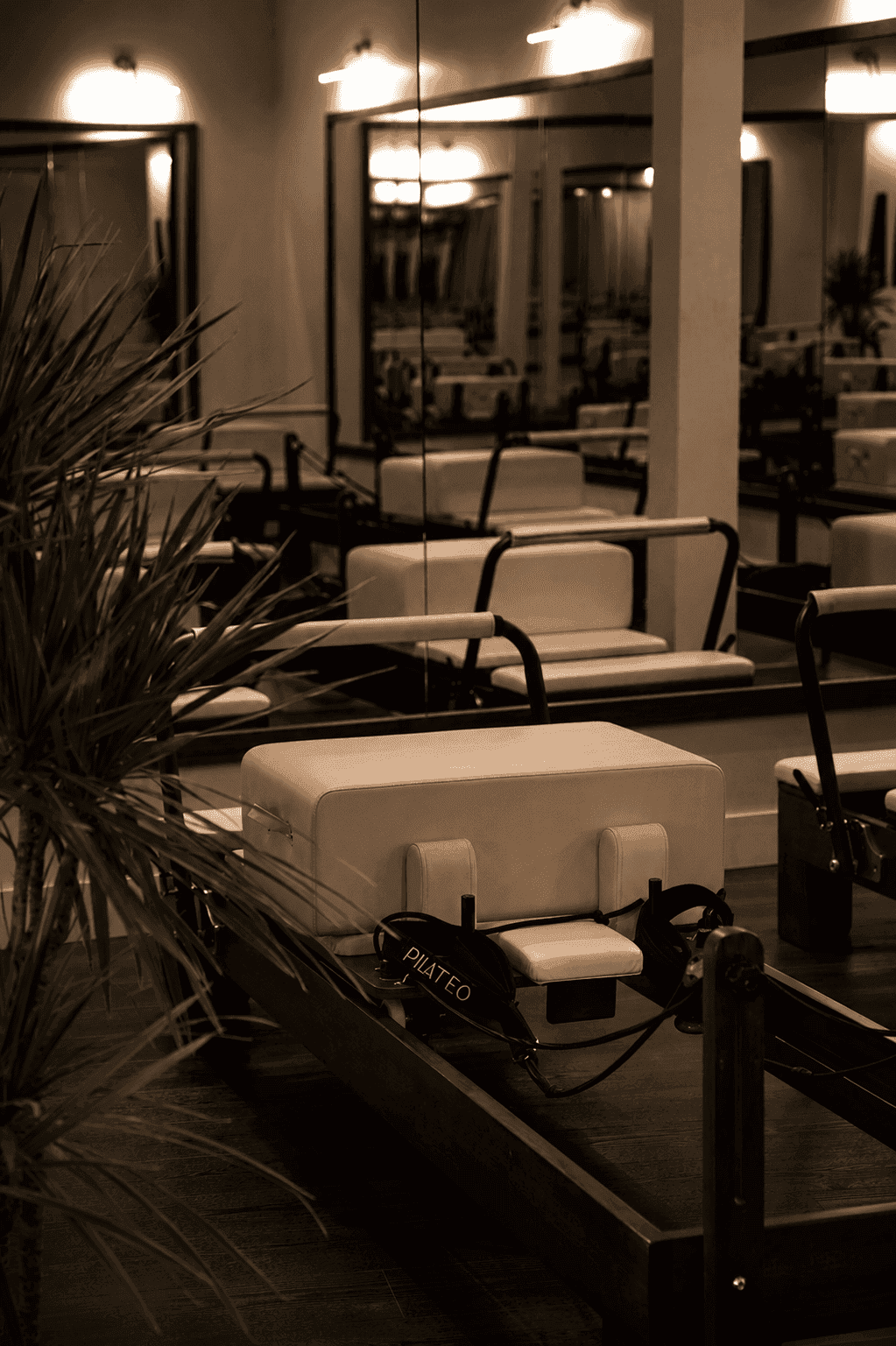 REFORMER